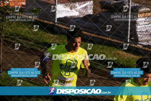 Foto 7881379