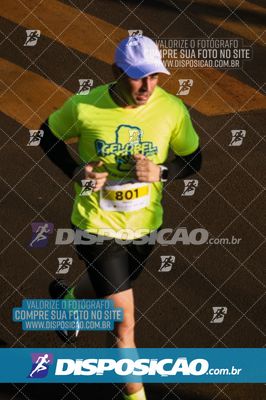 Foto 7881956