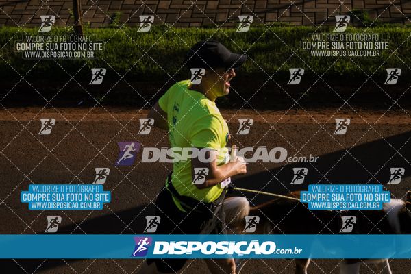 Foto 7882451