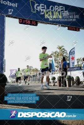 Foto 7891069