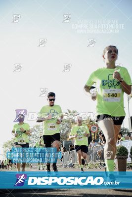 Foto 7892398