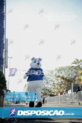 Foto 7893190