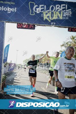 Foto 7894359