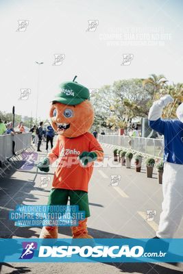 Foto 7894640