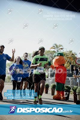 Foto 7894742