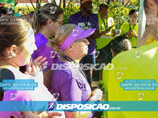 Foto 7874353