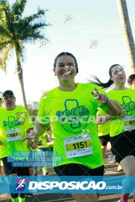 Foto 7872931