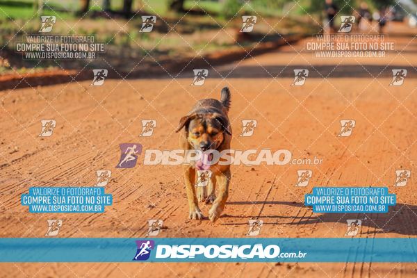 Foto 7894370