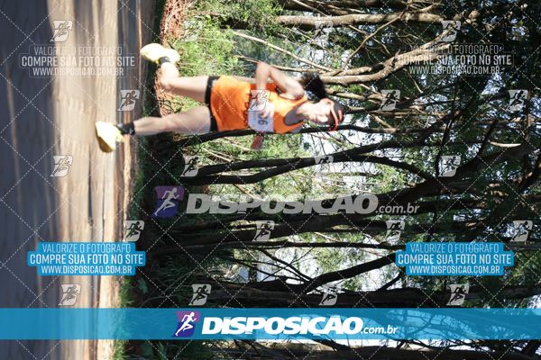 Foto 7915811