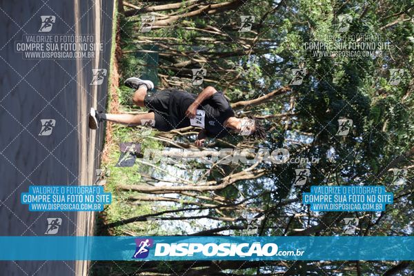 Foto 7915865