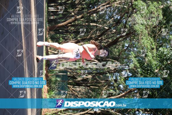 Foto 7915733