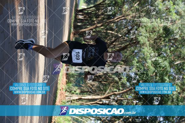Foto 7915685