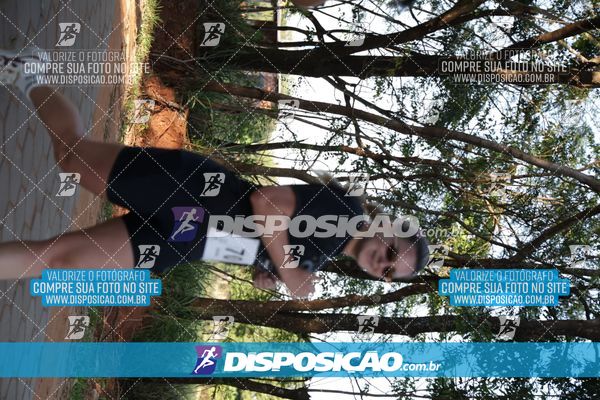 Foto 7915634