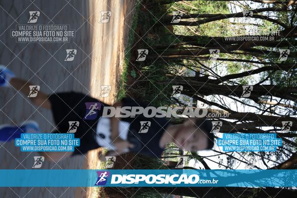 Foto 7915624