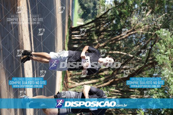 Foto 7915591