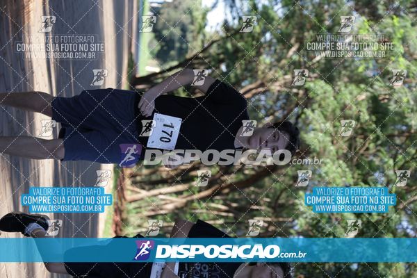 Foto 7915507