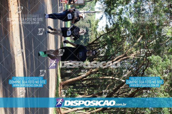 Foto 7915490