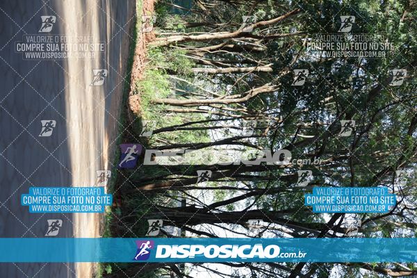 Foto 7915484