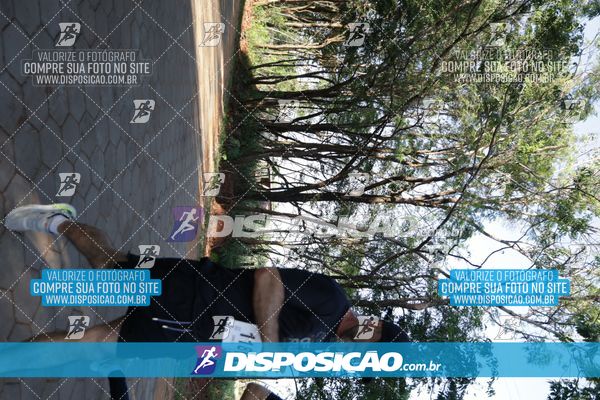Foto 7915415
