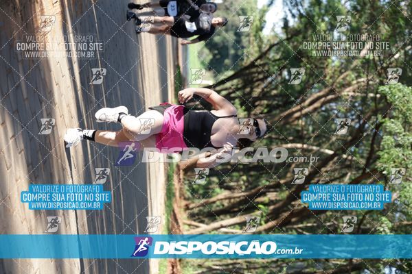 Foto 7915412