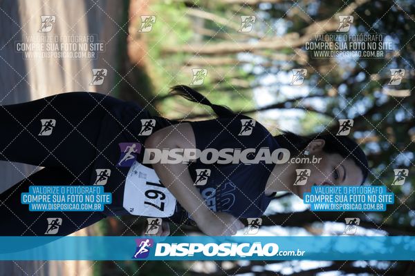 Foto 7915393