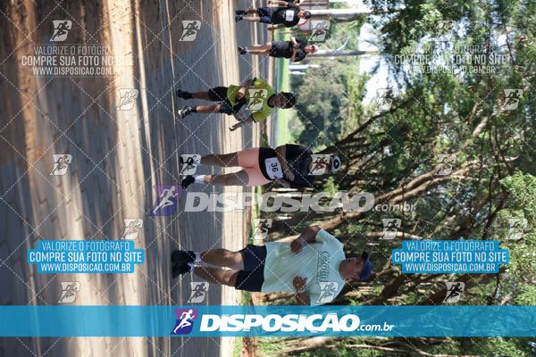 Foto 7915390
