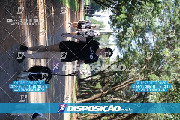 Foto 7915314