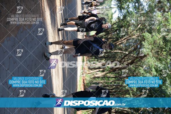 Foto 7915310