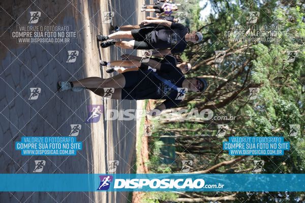 Foto 7915312