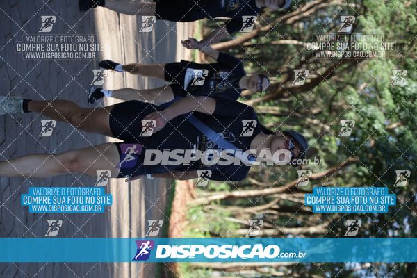 Foto 7915304