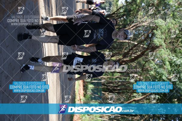 Foto 7915305