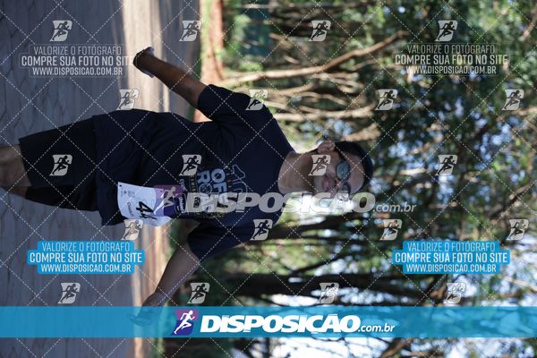 Foto 7915303