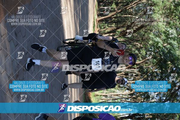 Foto 7915294