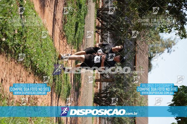 Foto 7915205