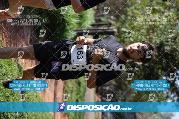 Foto 7915173