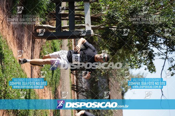 Foto 7915158