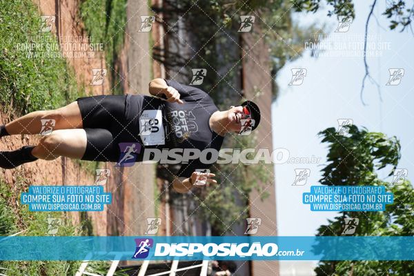 Foto 7915160