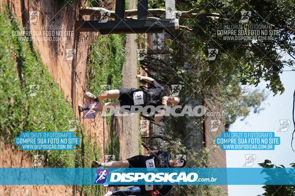 Foto 7915140
