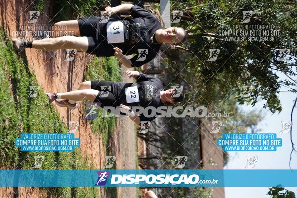 Foto 7915134