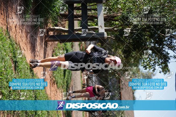 Foto 7915056