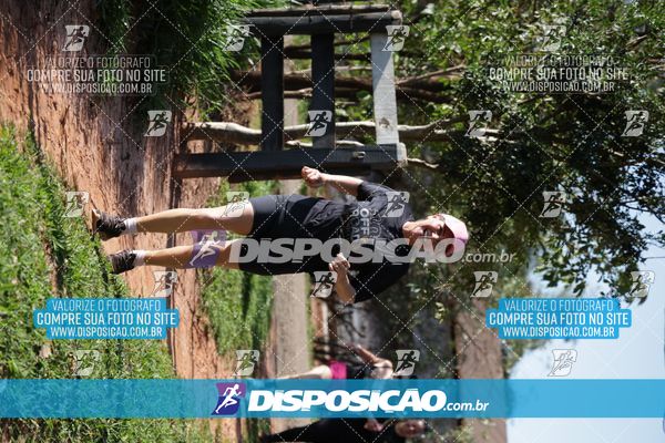 Foto 7915054