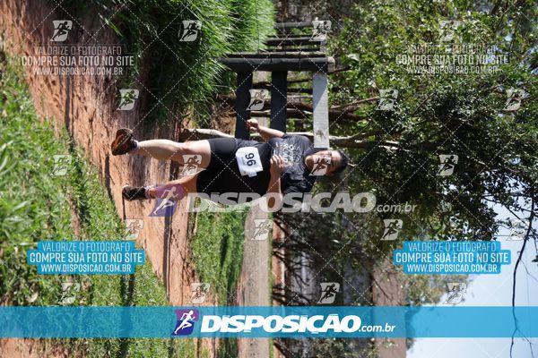 Foto 7915014