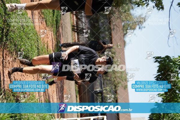 Foto 7915001