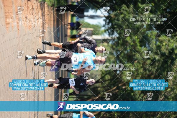 Foto 7918431