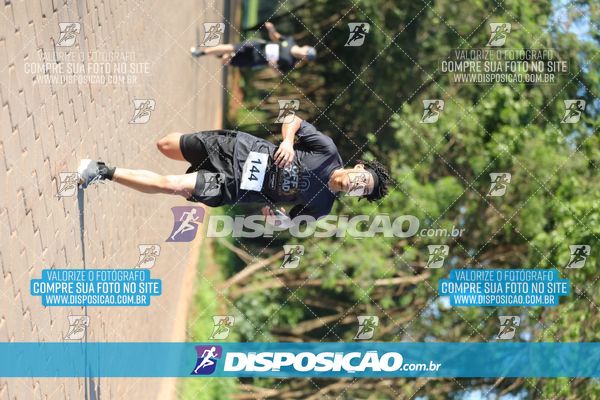 Foto 7918361