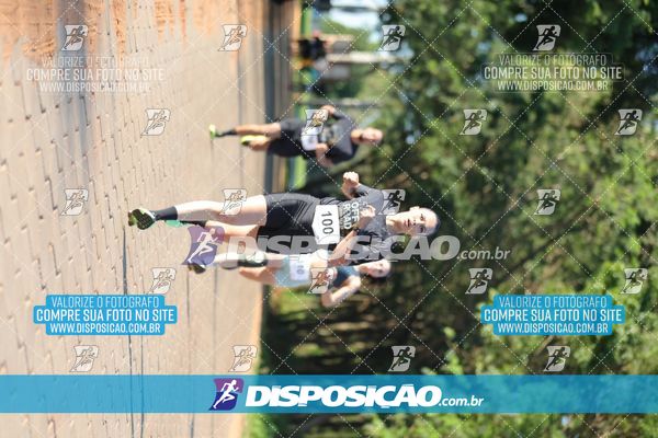 Foto 7918341