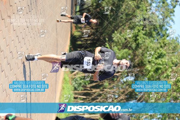 Foto 7918293