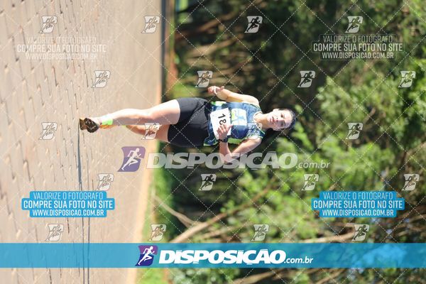 Foto 7918213