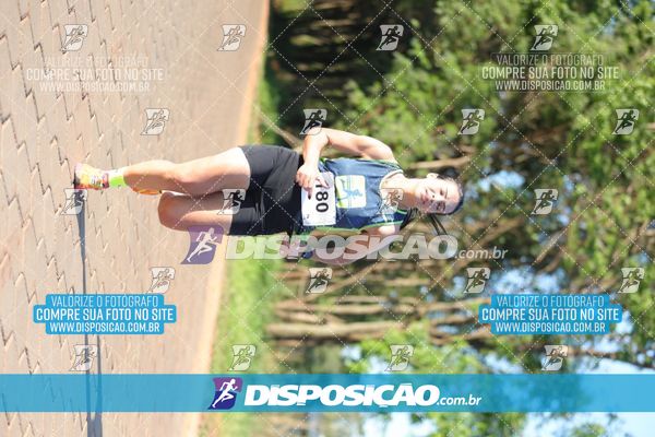 Foto 7918208