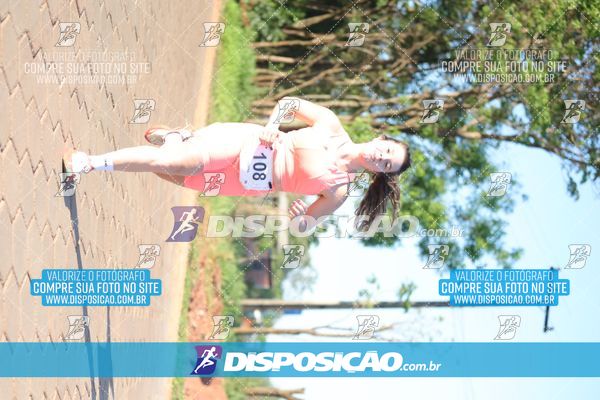 Foto 7918119